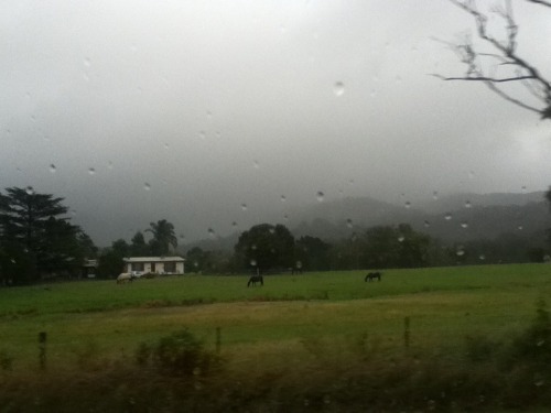 flirhty:  Lovely drives in the rain 