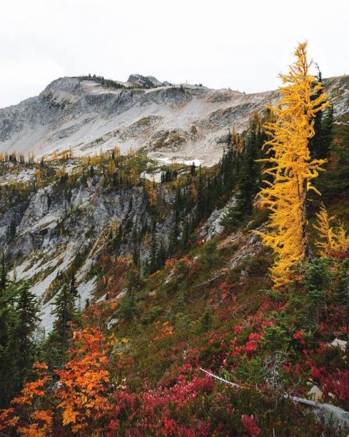 Nature wears the colors of the spirit. (at Washington) www.instagram.com/charlottelittlewolf