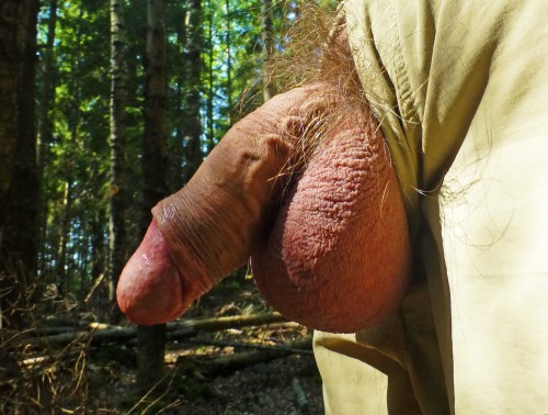 male-balls: Fresh air in the woods … bit.ly/1NPuFKl you are tired, youre not horny, bu