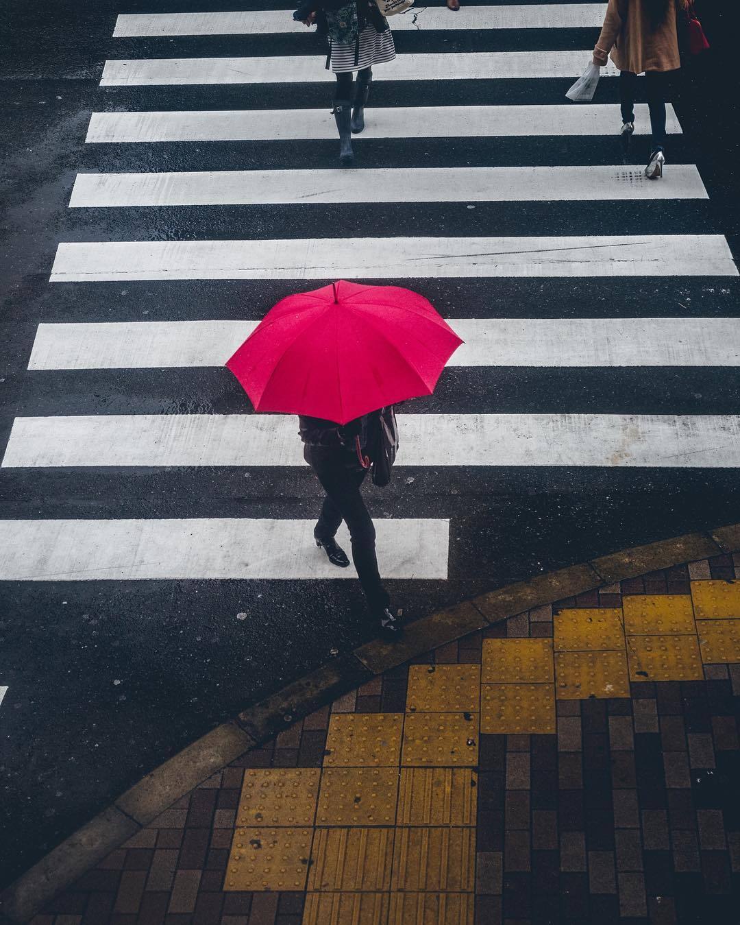 nevver:  Still falls the rain, Yoshiro Ishii 