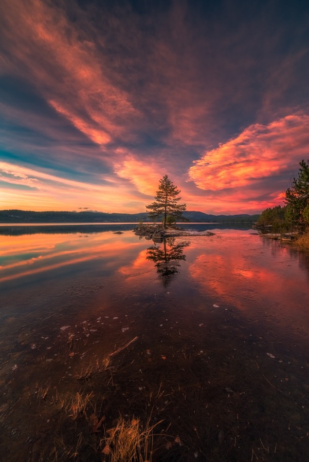 te5seract: X by  Ole Henrik Skjelstad  