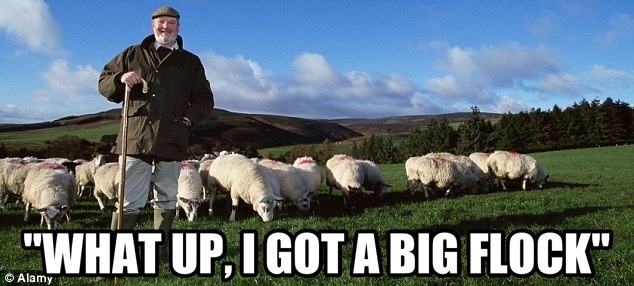 thedailymeme:  Walk up to the club like..  Ba-a-a-a-ad joke!
