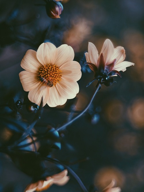 It Smells Like Autumn. Let's Take A Deep Breath.