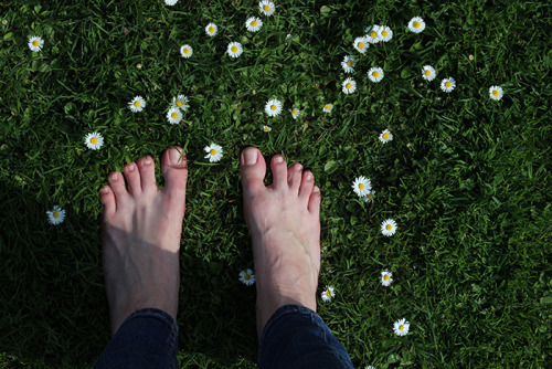 My feet surrounded by daisies.