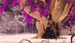 Game of Thrones Daily