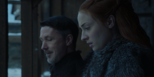 utteramazingness:The exact moment Sansa realized that ALL her siblings are batshit crazy.