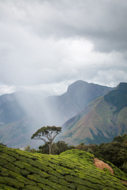 intothegreatunknown:  India (by india_trippers)