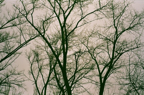 Gloomy Days Captured On Film