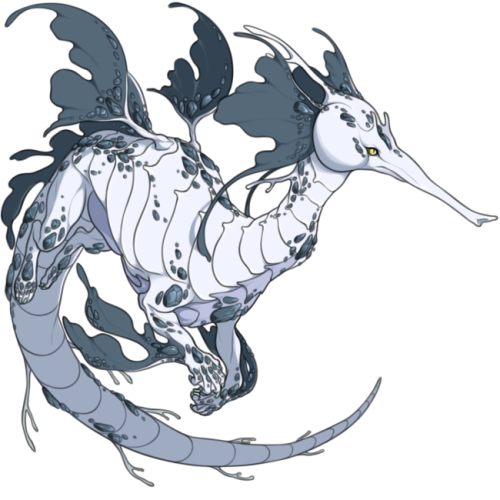 verceri:I went and redrew the adult sketch of the Seadragons from my other post here. (I’ve yet to r