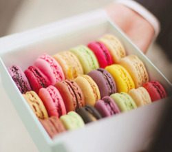 Macaron | Tumblr on We Heart It http://weheartit.com/entry/76542846/via/Yuliya_Yulika