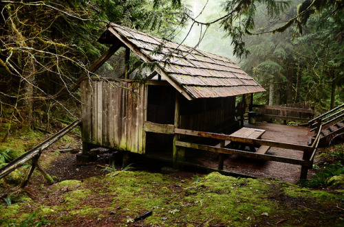 homeintheforest: Steamy Cabin - Clothing Optional by Krystal.Foster on Flickr.