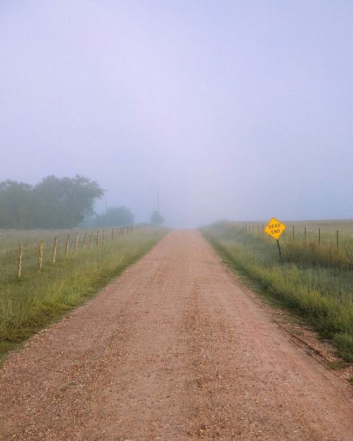 Foggy mornings and dirt roads. Shot on @googlepixel #pixel4 with the @moment 58mm tele lens. #team