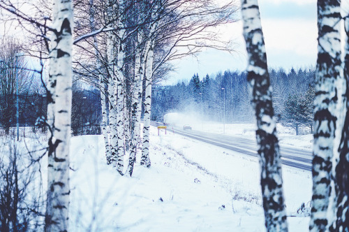oix: Day 342/365 by jennydasdesign on Flickr.