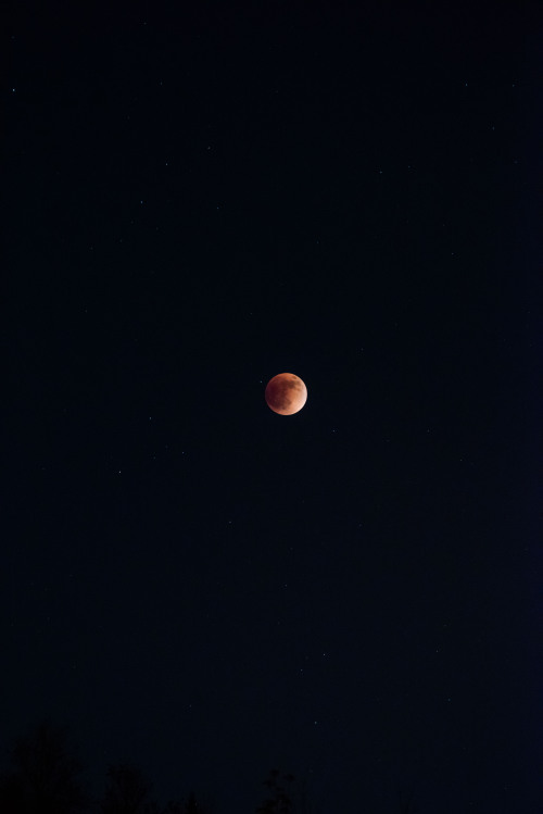 rhiannatruexx: super flower blood moon, 5-15-2022