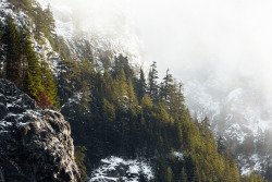 itakephotosofallthethings: Find A Place To Be Safe North Bend, WA 