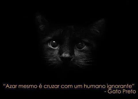 This is a Secret Life