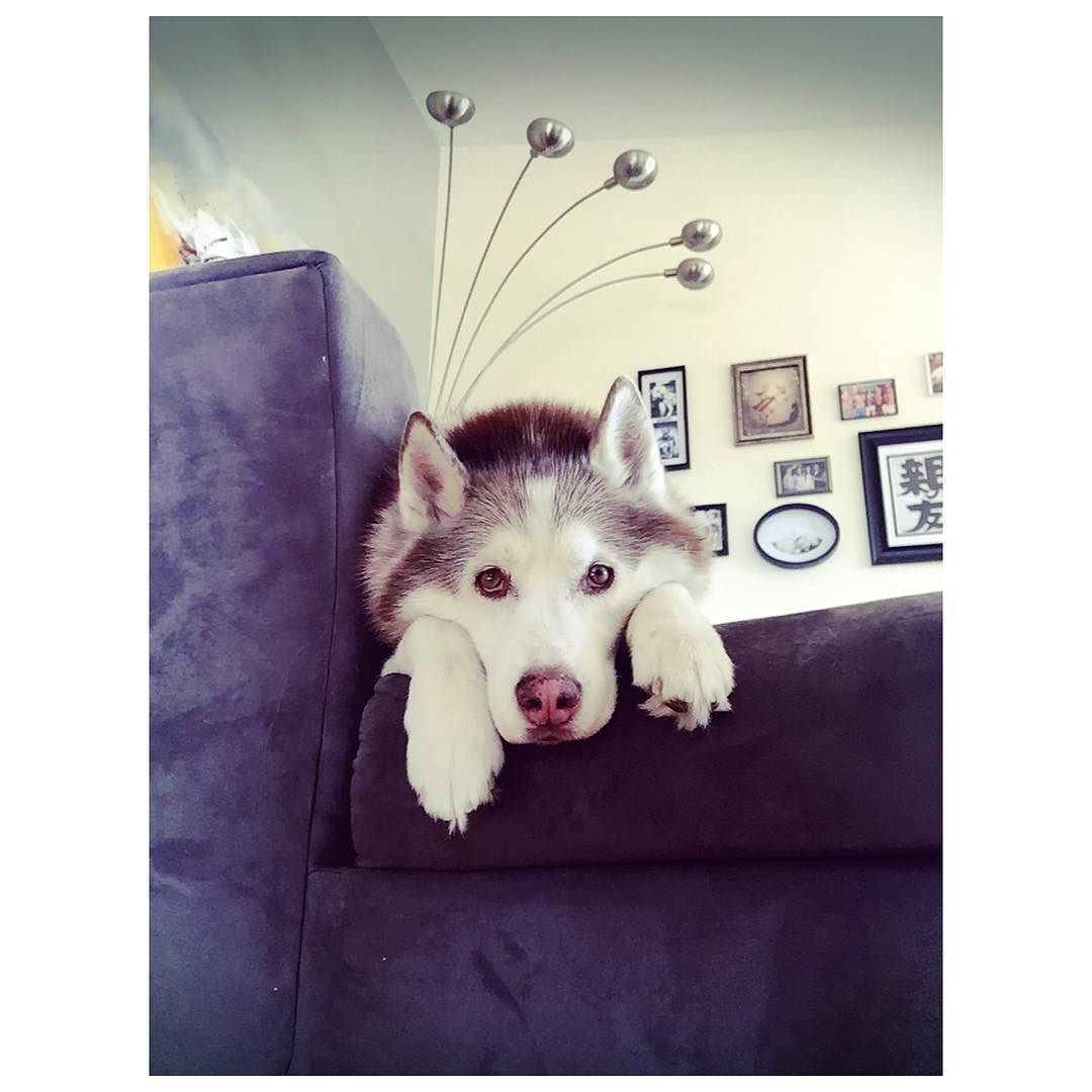 I miss my devilishly handsome Lu by hollywoodcensored