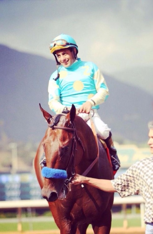 winter-cap: Run you clever boy! American Pharaoh first Triple Crown champion in 37 years.