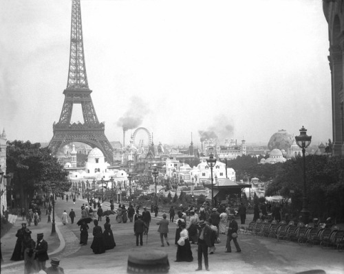 fawnvelveteen - Paris 1900