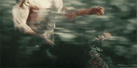 renaissaence:Slytherin House: Aesthetics If you must break the law, do it to seize power: in all oth