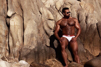 bonerriffic:  Furry muscle daddy 