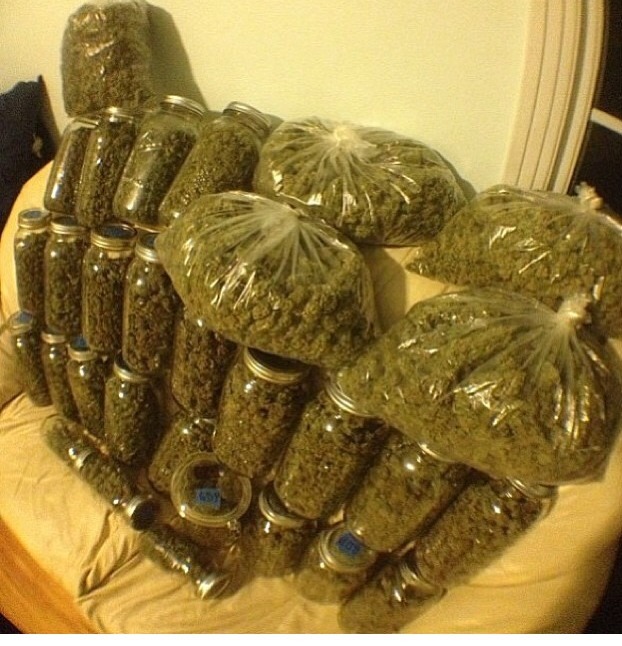 tok3ahontas:  thissilentsiren:  All that weed  damn, son 