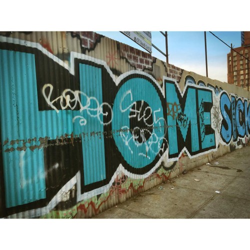 #instacatb@imherpacifier: Homesick Brooklyn