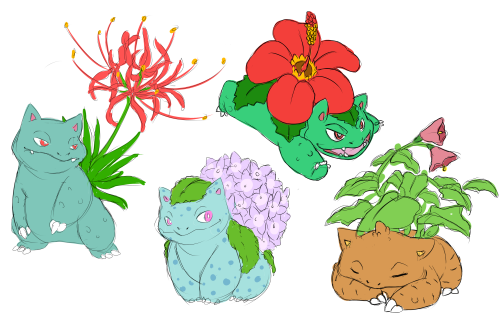 nsupremdrawings: I did some Venusaur variations! They are: rafflesia, orchid, rose, water 