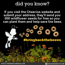 did-you-kno: If you visit the Cheerios website