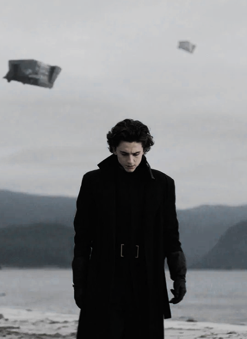 TIMOTHÈE CHALAMET asPAUL ATREIDES in DUNE (2020)