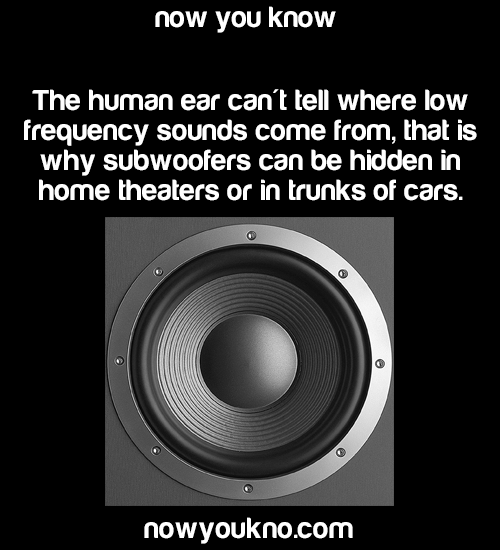 nowyoukno:  Source for more facts follow NowYouKno 