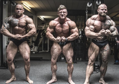 myfavoritemusclemen:  Soren Falby