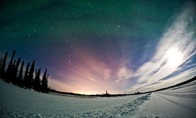 brutalgeneration:  We Three Kings by davebrosha on Flickr.