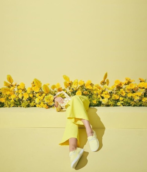 okaybutcolor:photography by Jimmy Marble