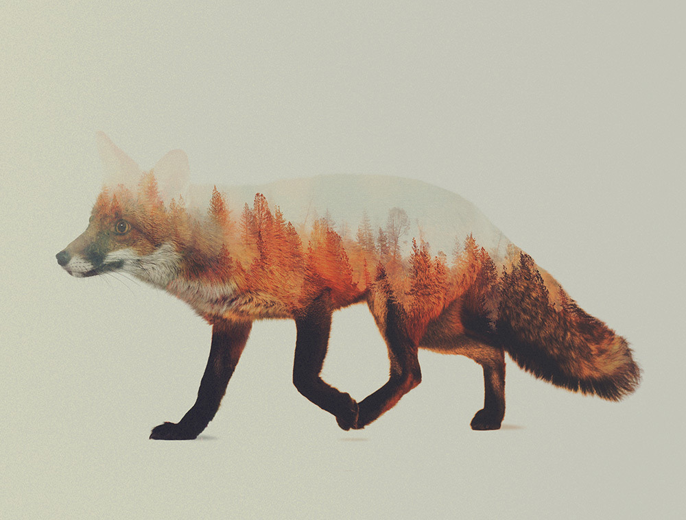 foxmouth:  Double Exposures, 2014 | by Andreas Lie 