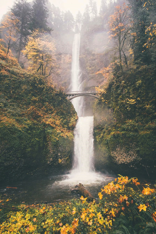 lsleofskye:Multnomah Falls
