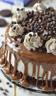 fullcravings:  Oreo Cheesecake Chocolate Cake  Omg!