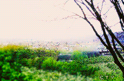 rumplestiltskin:nothing’s important than a mother’s true love 