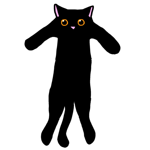 I Love Black Cats.