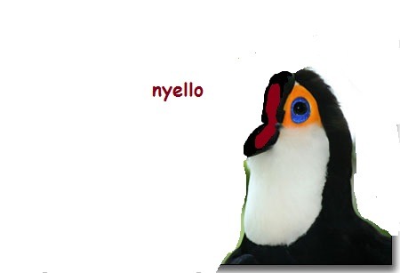 noelfieldingnoelfielding:  tupacabra:  liluminati:  toucans freak me out cus thats like THERI WHOEL MOUTH  without it its just   NYELLO  there will come a day when i will stop reblogging this, but today is not the day. 