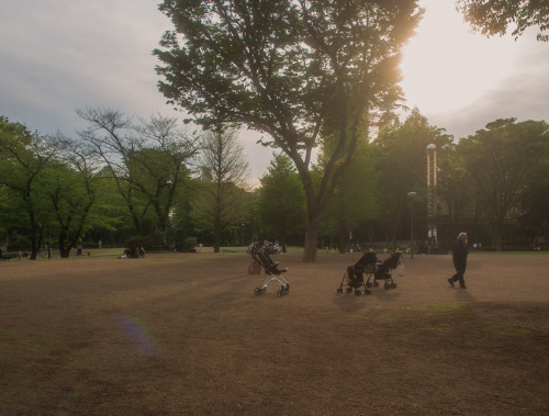  新宿中央公園かつてはちょっとうら寂しい感じの公園でしたが、スタバができたおかげで雰囲気が一変仕事をする人、ワンコのお散歩をする人、ヨガをする人、カメラをもってうろつく人（わたしですが）、う