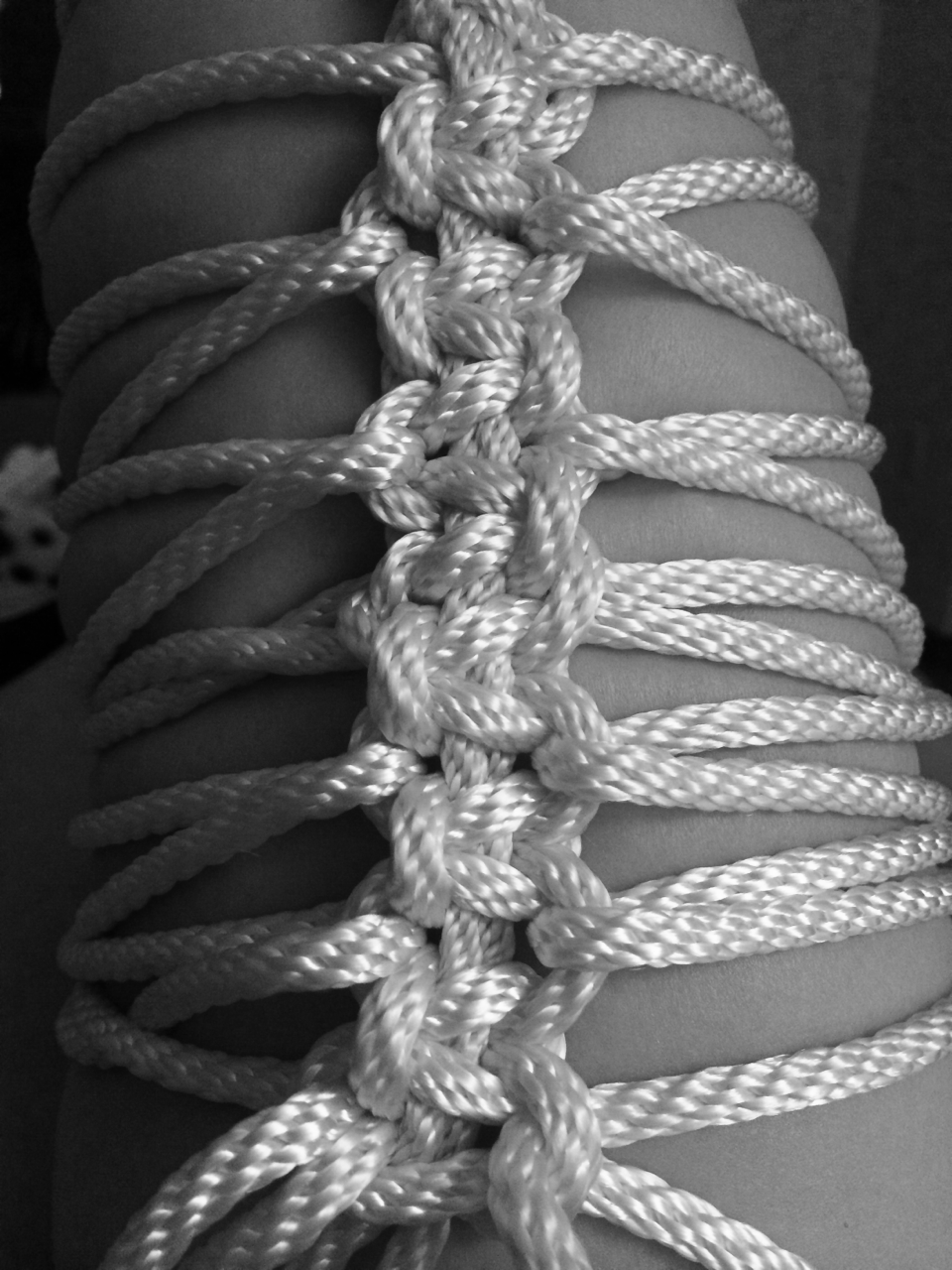 Bunny's BDSM Blog 18+