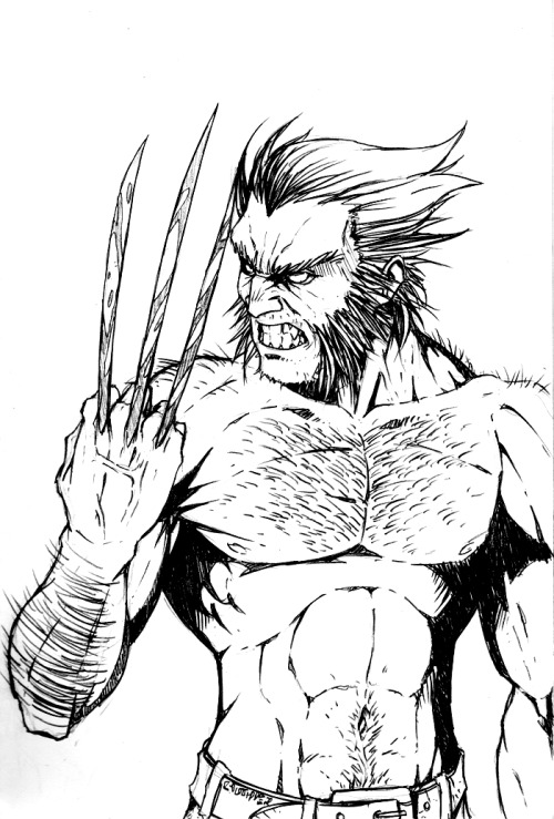 XXX super-hero-center:  Wolverine by Merrk photo