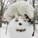 happyheidi:(via)
