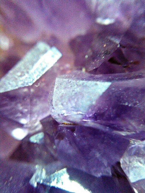 catsnatch:Macro of amethyst and the druzy insides of a geode.
