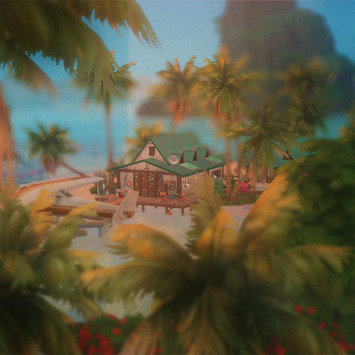 Retro Postcards And Old Photos From Sulani After Years Of Being Attached With Magnets To Some Fridge