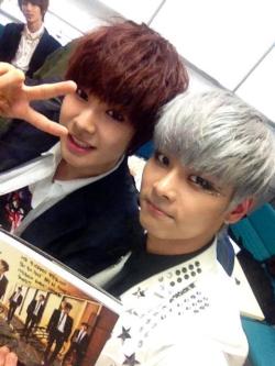 fuckyeahboyfriend2011:  어떤가용?? 정민군과 정말 닮았나용??!!!ㅋㅋㅋ CD 감사합니닭!!!@.@!!!! 아이야.How was it?? And Jeongmin gun really look alike??!!!ㅋㅋㅋ Thanks for the CD!!!@.@!!!! I Yah.Source: VIXX’s N twitterTranslated