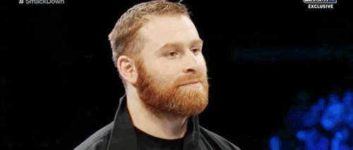 supreme-leader-hux:  Seth Rollins actually hitting on Sami Zayn in front of a live audience 
