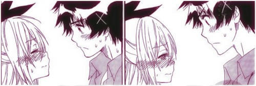 ayame-waffuru: Nisekoi Chapter 229 “Zawsze in love” - Raku and Chitoge