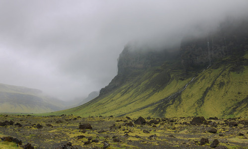 agavex-photography:Near Fjaðrárgljúfur Canyon.Iceland, June 2017.